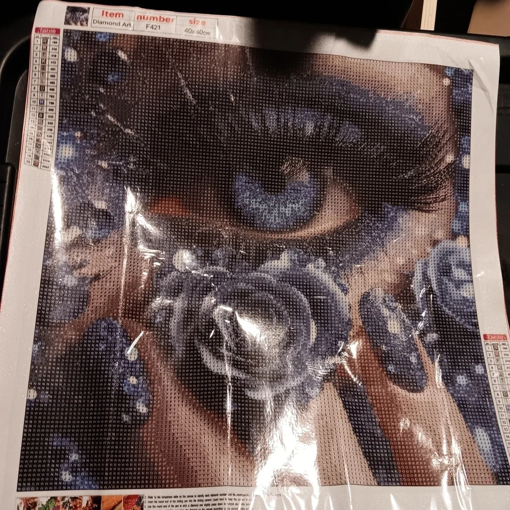Blue Eye and Rose Diamond Art Painting Kit 40x40